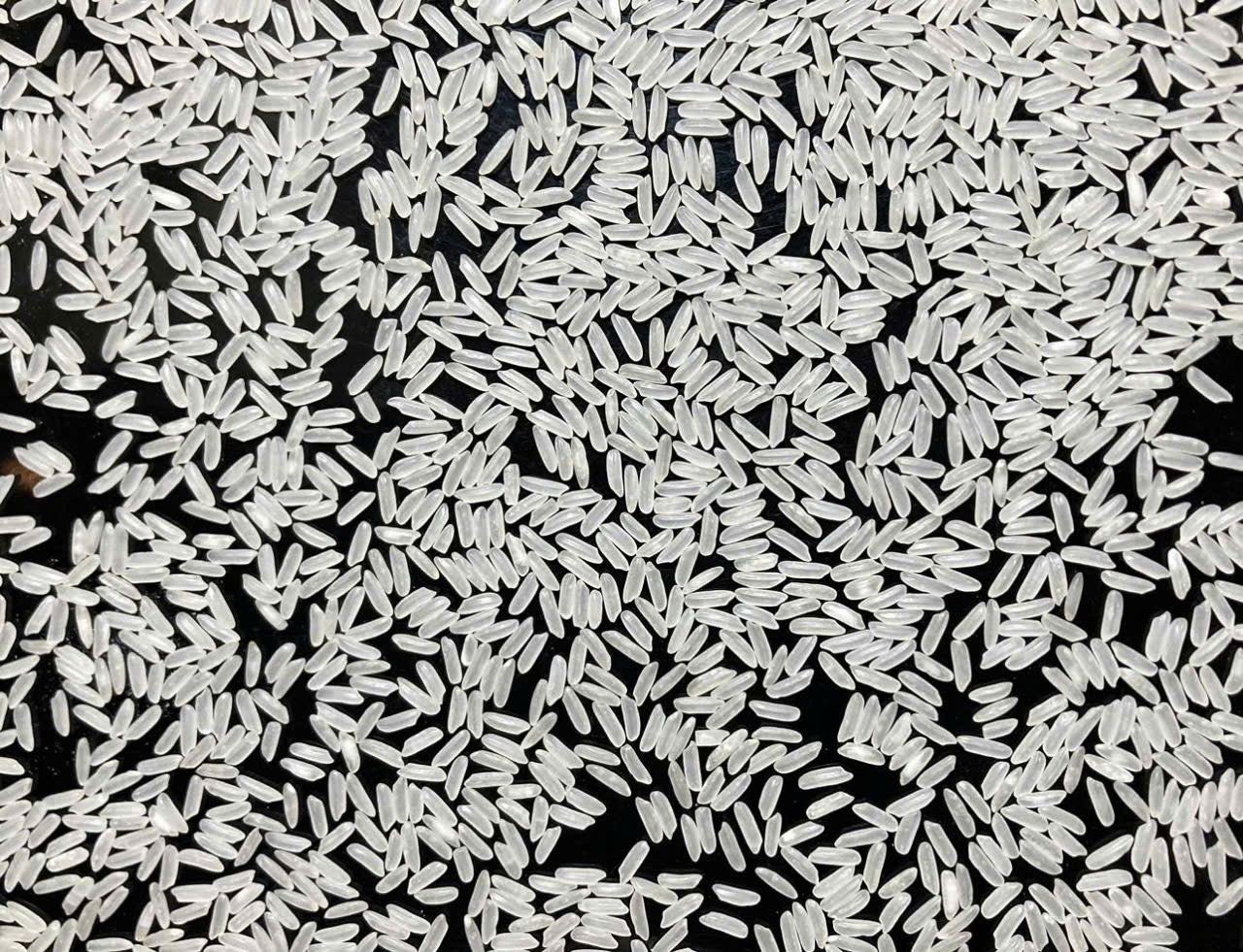 NAM RICE